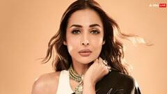 बिना फिल्में किए कैसे आलीशान जिंदगी जी रही हैं मलाइका अरोड़ा, कहां से कर ही मोटी कमाई