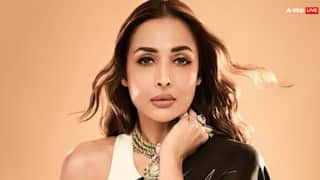 करोड़ों में नेटवर्थ,आलीशान लाइफ,आखिर बिना फिल्में किए कहां से कमाई कर रही हैं मलाइका अरोड़ा?