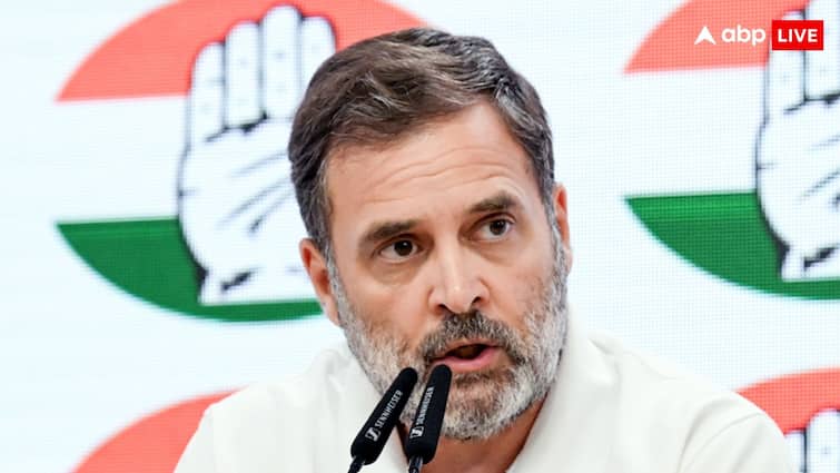 ‘A Roaming Stray Politician’: BJP Leader Attacks Rahul Gandhi After He Slams SC Order On Canine