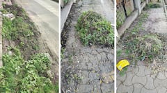 Kolhapur Municipal Corporation: तुंबलेला कारभार! 'उकिरडा' झालेल्या फुटपाथ स्वच्छतेसाठी कोल्हापूर मनपाला मुहूर्त सापडला, पण काढलेला कचरा फुटपाथवरच तुंबवून ठेवला