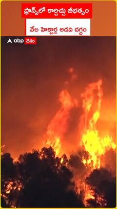 Firestorm in France, thousands of hectares of forest burnt