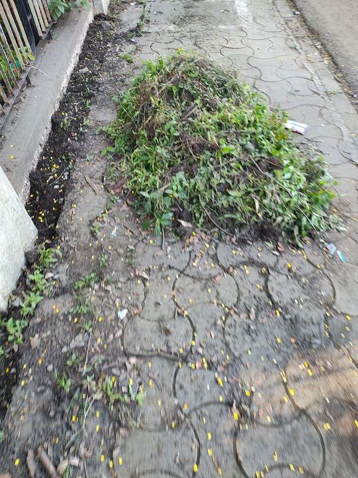 मात्र, अनेक मार्गांवर फुटपाथ स्वच्छता करण्यात आली असली, तरी कचरा तसाच पडून राहिला आङे.