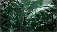 వర్షాకాలంలో రోగనిరోధక శక్తిని పెంచే ఆయుర్వేద చిట్కాలు.. ఉదయాన్నే ఈ 5 టిప్స్ ఫాలో అయిపోండి