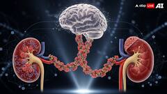 Parkinson's Disease Has Roots In Kidney Health, Claims Study; Here's What Doctors Say