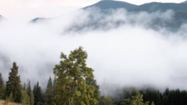 Environmental Advances জার্নালেও গবেষণাপত্রটি প্রকাশিত হয়েছে। তবে চিন, ইতালি, এবং আমেরিকার তুলনায় ভারতের আকাশের মেঘ তুলনামূলক কম বিষাক্ত বলে দাবি করেছেন গবেষকরা। তবে চিন্তার যথেষ্ট কারণ রয়েছে। তথ্যসূত্র: https://www.pib.gov.in/PressReleasePage.aspx?PRID=2151264