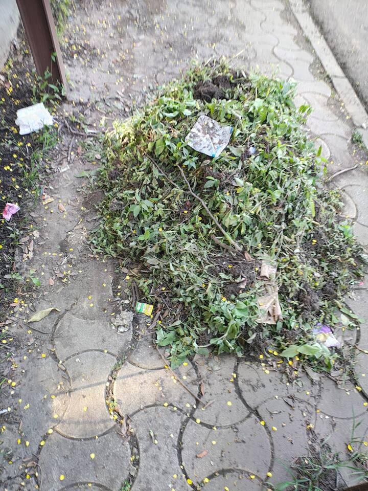 शहरातील कचरा उठावही वेळेत होत नसल्याने नागरिकांचे आरोग्य धोक्यात येण्याची वेळ आली आहे. दुसरीकडे, नागरिकही मिळेल त्या मोकळ्या जागेत कचरा फेकत असल्याने शहराची स्थिती विद्रुप होत चालली आहे.