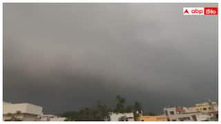 Weather Update: తెలుగు రాష్ట్రాల్లో భారీ వర్షాలు! ఏయే జిల్లాల్లో వానలు, ఎప్పుడంటే..