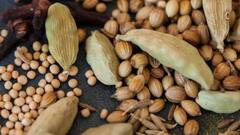 सुबह-सुबह खाली पेट खाएं इलायची, शरीर में दिखेंगे ये पॉजिटिव फायदे