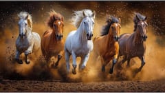 Astrology Tips : ना हत्ती, ना कुठली पेंटिंग... श्रीमंतांच्या घरी 'हा' फोटो असतोच; वाचा वास्तुशास्त्रानुसार महत्त्व