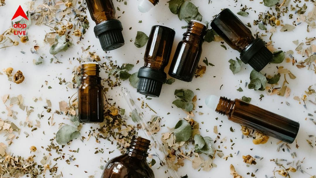 hair and skin care tips methi and curry leaves coconut oil benefits one should know Hair And Skin Care Tips: কারিপাতা, মেথি দিয়ে ফোটানো নারকেল তেল চুল এবং ত্বকের কোন কোন সমস্যা দূর করে নিমেষে ?