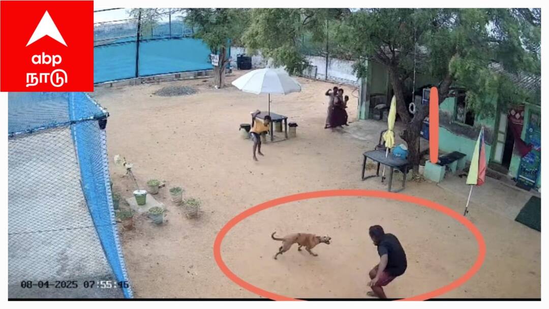 வீட்டிற்குள் புகுந்த தெருநாய் ; சிறுவன், தந்தையை கடித்து குதறியதால் பயத்தில் அலறிய ஓடிய குடும்பம்