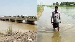 पंजाब: फाजिल्का में पाकिस्तान से आए पानी में डूबी फसल, 3 ओर से PAK से घिरे गांव में बिगड़े हालात