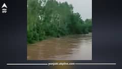 Punjab Weather Today: ਪੰਜਾਬੀਆਂ 'ਤੇ ਮੰਡਰਾ ਰਿਹਾ ਵੱਡਾ ਸੰਕਟ! ਘੱਗਰ ਉਫਾਨ 'ਤੇ, ਬਿਆਸ ਦਾ ਪਾਣੀ ਵਧਿਆ; ਡੈਮਾਂ ਵਿੱਚ 70% ਤੋਂ ਵੱਧ ਪਾਣੀ, ਹੜ੍ਹਾਂ ਦਾ ਖਤਰਾ, ਜਾਣੋ ਪੰਜਾਬ ਦੇ ਮੌਸਮ ਦਾ ਹਾਲ