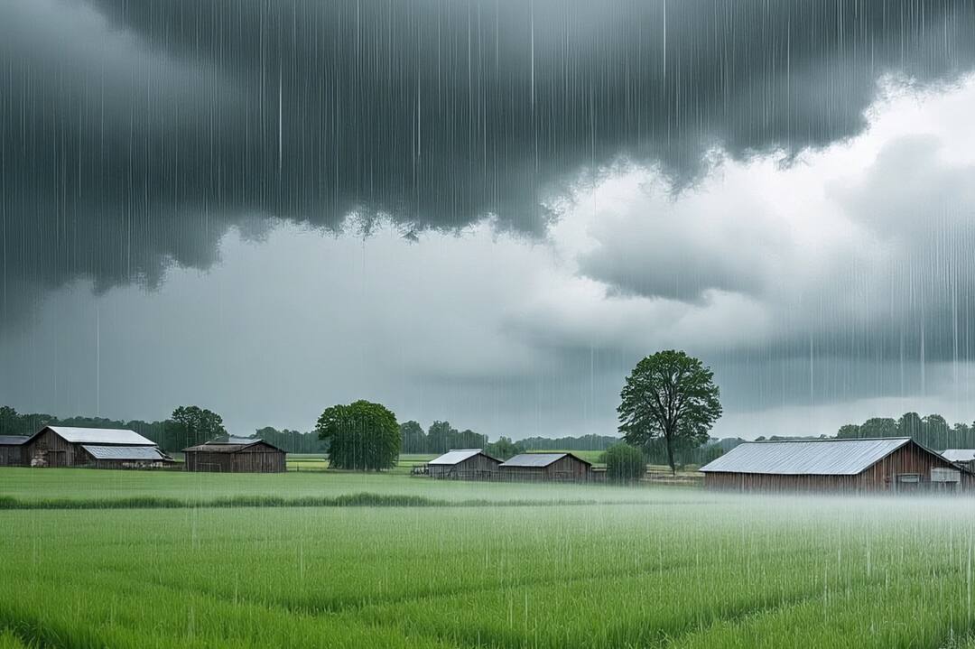 Heavy rain alert in these states of the country including UP today, know the weather updates Weather Updates: યુપી સહિત દેશના આ રાજ્યોમાં આજે ભારે વરસાદનું એલર્ટ, જાણો વેધર અપડેટ્સ