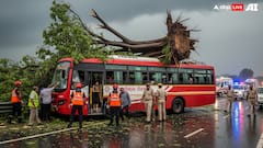 4 Dead, Several Injured As Tree Falls On UP Roadways Bus In Barabanki During Heavy Rain