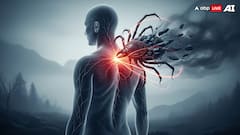 Lyme Disease: All About The Infection Justin Timberlake Has Reportedly Caught