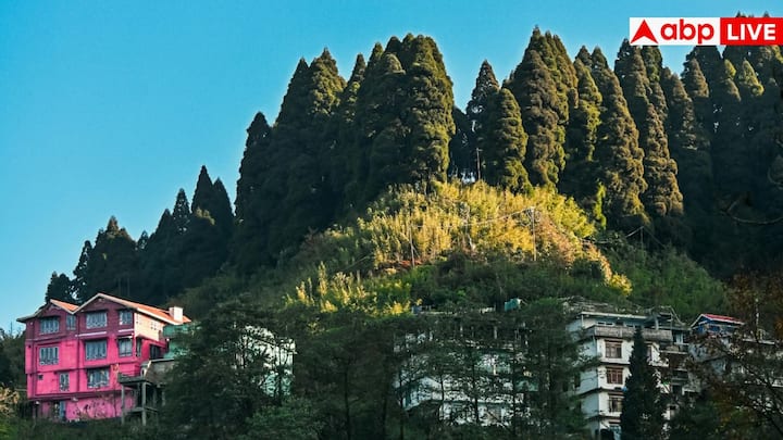 खोनोमा गांव को एशिया का पहला 'ग्रीन विलेज' माना जाता है. यह गांव अपनी साफ-सफाई, पर्यावरण संरक्षण और हरियाली के लिए मशहूर है. यहां की जनजातीय संस्कृति और खूबसूरत प्राकृतिक नजारे विदेशी सैलानियों को अपनी ओर खींचते हैं.