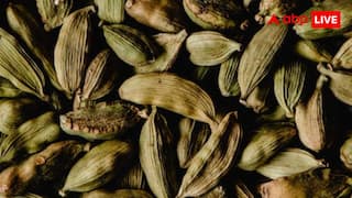 सुबह-सुबह खाली पेट खाएं इलायची, शरीर में दिखेंगे ये पॉजिटिव फायदे