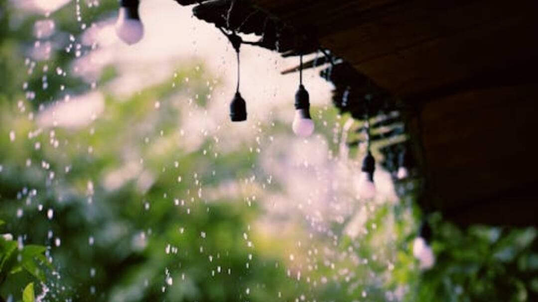 IMD Forecasts Heavy Rain, Thunderstorms In Andhra Pradesh Till August 14 Andhra Pradesh IMD Forecasts Heavy Rain, Thunderstorms Yanam Rayalaseema Till August 14 IMD Forecasts Heavy Rain, Thunderstorms In Andhra Pradesh Till August 14