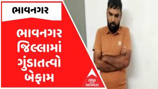 Bhavnagar: ભાવનગર જિલ્લામાં ગુંડાતત્વો બેફામ, વૃદ્ધને મરાયો ઢોર માર