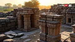 हरियाणा के गांव में 3000 साल से भी पुराने मानव निवास के प्रमाण, प्राचीन टुकड़े मिले