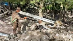 128 Rescued On Day 4 Of Uttarkashi Flash Floods; Army Builds Bridge Over Bhagirathi