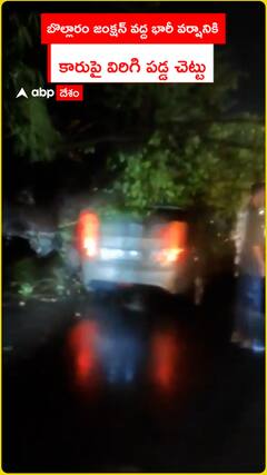 Tree falls on car due to heavy rain at Bollaram Junction