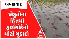 Farmers: રાજ્યના ખેડૂતોના હિતમાં હાઈકોર્ટનો મોટો ચુકાદો, 15 હજાર ખેડૂતોને મળશે પાક વીમાની રકમ