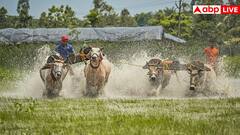 ये हैं भारत के सबसे रहस्यमयी गांव, जहां आने के लिए तरसते हैं विदेशी