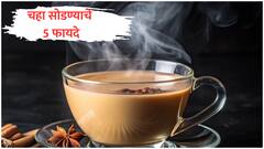 Tea : फक्त 15 दिवस चहा सोडल्यावर होणारे हे 5 जबरदस्त फायदे; घ्याल आरोग्यदायी अनुभव
