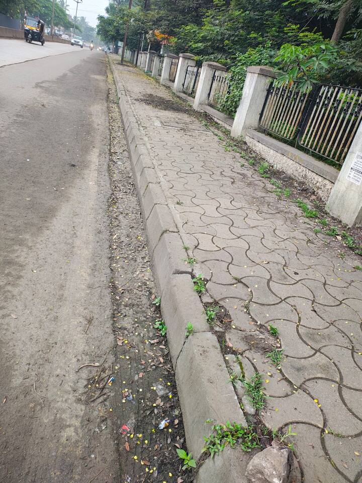 एबीपी माझाच्या बातमीनंतर आता कोल्हापूर मनपाला तुंबलेल्या कचऱ्याची आठवण झाली.