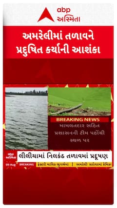 Amreli news: અમરેલીના મોટા લીલીયામાં નિલકંઠ તળાવને પ્રદૂષિત કરાયાની આશંકા