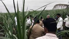 कोल्हापूर : ऊसाच्या शेतात तीन महिन्यांचे मृत अर्भक पुरलेल्या स्थितीत आढळल्याने खळबळ