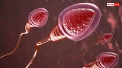 बच्चा पैदा करने के लिए कितना होना चाहिए स्पर्म काउंट, इस बारे में क्या कहते हैं डॉक्टर्स?