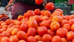 दिल्ली और आसपास के इलाकों में सस्ते दाम में बिक रहे टमाटर, इन जगहों पर लगे NCCF के स्टॉल