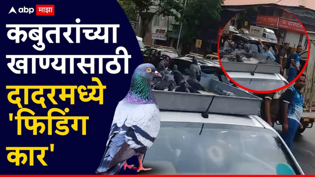 Dadar Kabutar Khana : दादरचा कबुतरखाना बंद झाला पण पक्ष्यांना खाणं पुरवण्यासाठी जैन समाजाकडून खास सोय, 12 कार सतत फिरत्या ठेवणार, नेमका काय प्रकार? Dadar Kabutar Khana closed but Jain community man feeding pigeons on roof of the car Mumbai Maharashtra Marathi News Dadar Kabutar Khana : दादरचा कबुतरखाना बंद झाला पण पक्ष्यांना खाणं पुरवण्यासाठी जैन समाजाकडून खास सोय, 12 कार सतत फिरत्या ठेवणार, नेमका काय प्रकार?