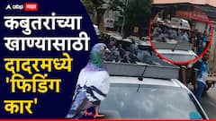 दादरचा कबुतरखाना बंद झाला पण पक्ष्यांना खाणं पुरवण्यासाठी जैन समाजाकडून खास सोय, 12 कार सतत फिरत्या ठेवणार, नेमका काय प्रकार?