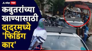 Dadar Kabutar Khana : दादरचा कबुतरखाना बंद झाला पण पक्ष्यांना खाणं पुरवण्यासाठी जैन समाजाकडून खास सोय, 12 कार सतत फिरत्या ठेवणार, नेमका काय प्रकार?