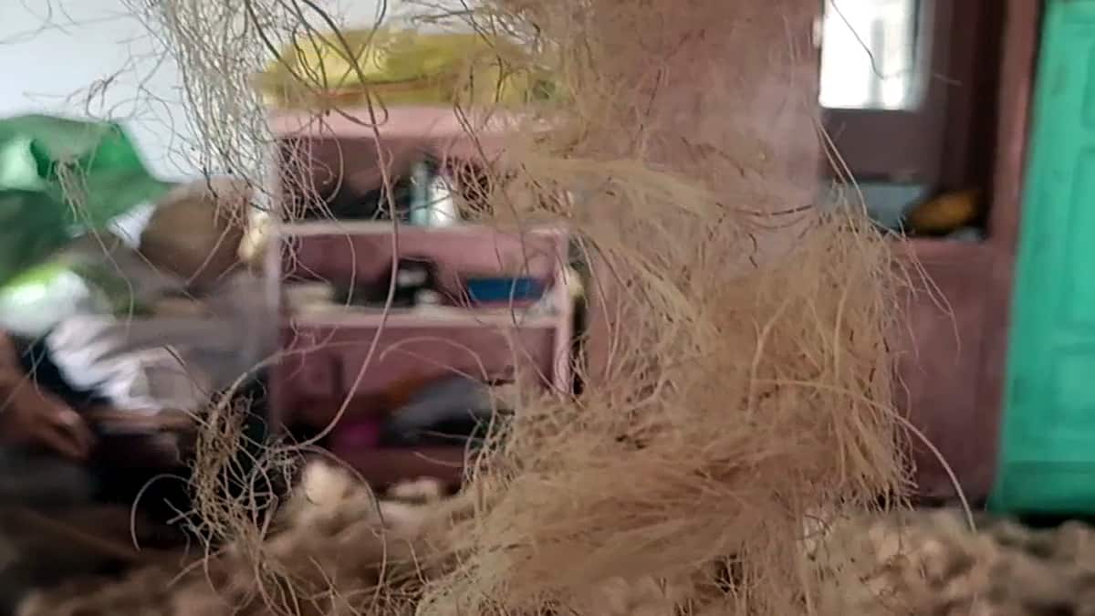 பனை மரத்தை காக்கும் இளைஞரின் புது முயற்சி! சுற்றுச்சூழலுக்கு உகந்த ஆடைகள் மூலம் அசத்தல்!