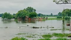 चंदौली और गाजीपुर के ग्रामीण क्षेत्रो में बाढ़ से हाहाकार, घर और खेत में भरा पानी, मदद की दरकार
