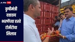 शेती शाश्वत करण्यासाठी प्रयत्न करणार, कृषीमंत्र्यांच्या हस्ते टोमॅटोचे लिलाव, किलोला किती मिळाला दर? 