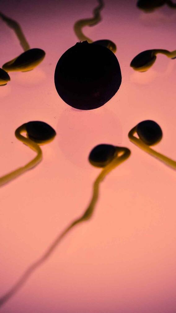 कितने स्पर्म काउंट पर हो जाती है फर्टिलिटी की समस्या?