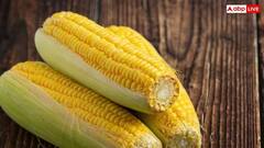 Health Tips: આ 6 લોકોએ ભૂલથી પણ ન ખાવા જોઈએ મકાઈના ડોડા, નહીં તો સ્વાસ્થ્યને થશે ગંભીર નુકસાન
