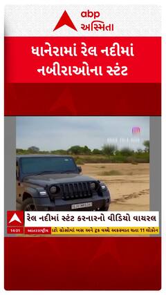 Banaskantha Video Viral: ધાનેરામાં રેલ નદીમાં સ્ટંટ કરનાર નબીરાઓનો વીડિયો વાયરલ