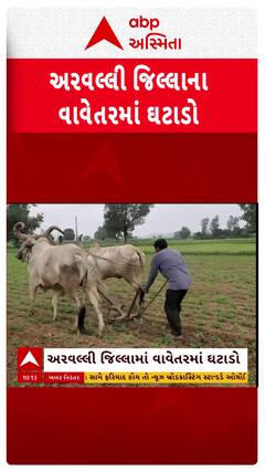 Arvalli Rain Effect: વરસાદની અનિયમિતતાને કારણે અરવલ્લીમાં વાવેતરમાં ઘટાડો