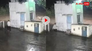 भागो भागो इंसान आया! जब जंगल का गार्ड और शेर हुए आमने सामने, दोनों दुम दबाकर भागे- वीडियो देख नहीं रुकेगी हंसी