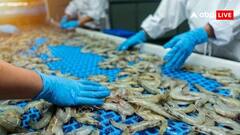 ट्रंप के टैरिफ से भारत के 2 अरब डॉलर के झींगा निर्यात पर बड़ा संकट, मोदी सरकार से की ये अपील