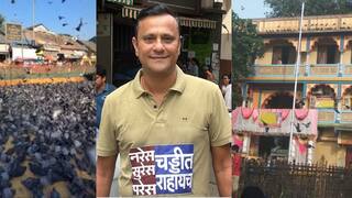 Dadar Kabutar Khana: नरेस, सुरेस, परेस, चड्डीत राहायचं! दादर कबुतरखान्याचा वाद पेटला असताना संदीप देशपांडेंच्या टी-शर्टची चर्चा