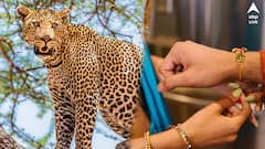 চিতার আক্রমণে করুণ মৃত্যু ৩ বছরের শিশুর, মৃত ভাইয়ের হাতেই রাখি বাঁধলেন দিদি