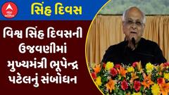 World Lion Day 2025 : વન્યજીવોની માવજત અને સંરક્ષણની વાતને વડાપ્રધાનના દિશા દર્શનમાં અગ્રીમતા અપાઈ: ભૂપેન્દ્ર પટેલ